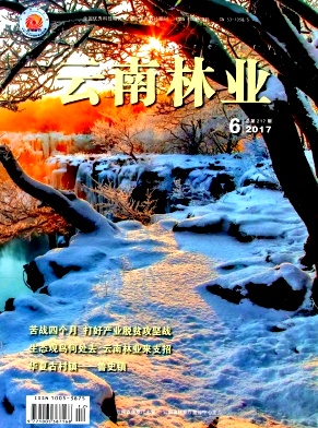云南林业杂志