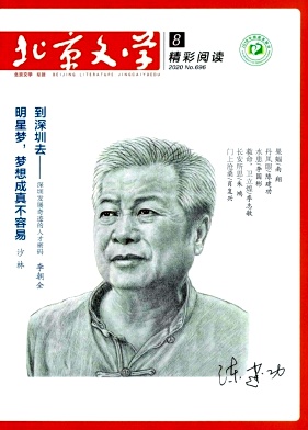 北京文学(精彩阅读)杂志